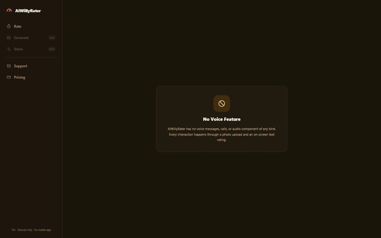 AIWillyRater voice screen showing that no voice messages or calling feature exists on the platform AIWillyRater voice screen showing that no voice messages or calling feature exists on the platform