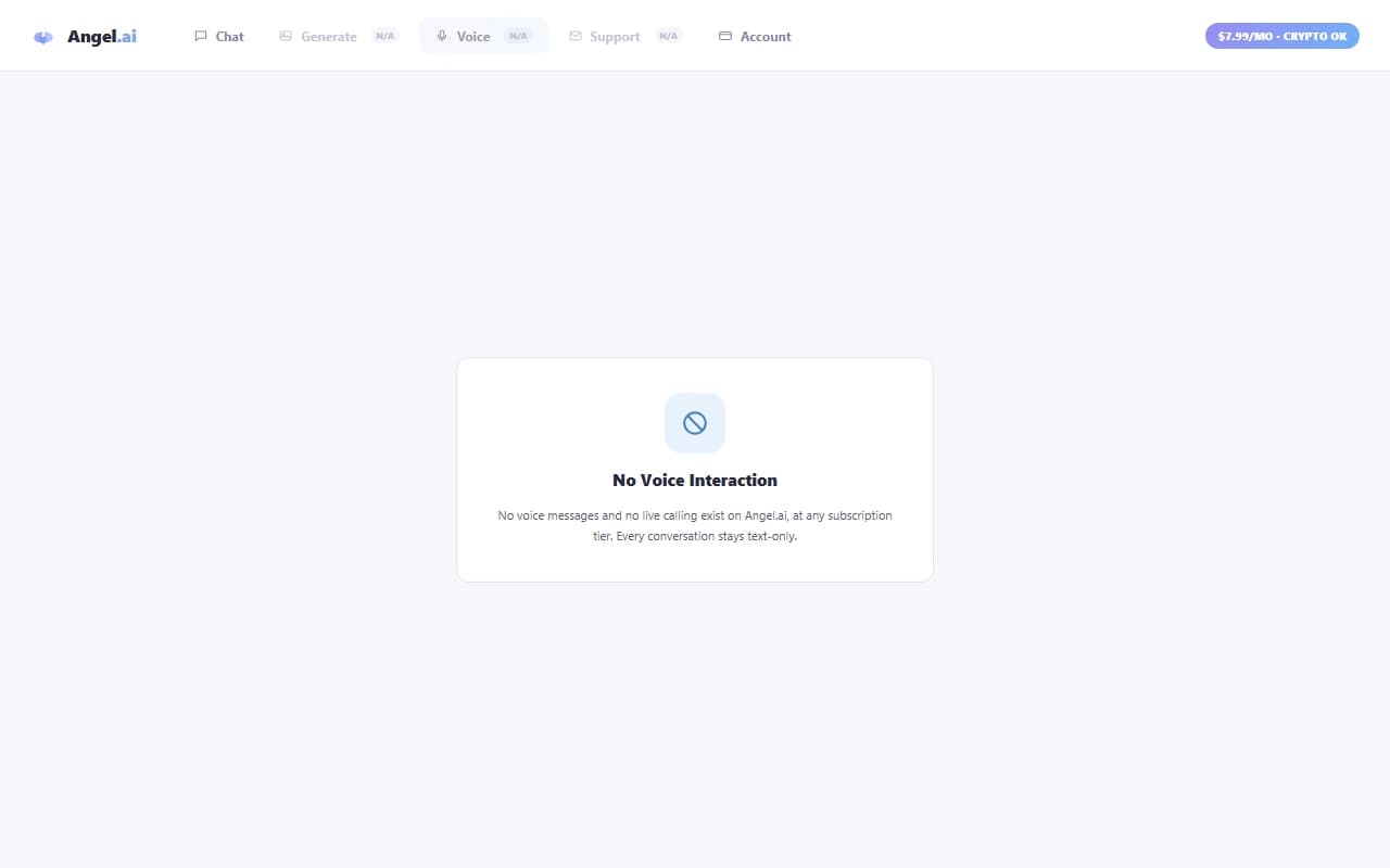 Angel.ai interface confirming no voice interaction feature Angel.ai interface confirming no voice interaction feature