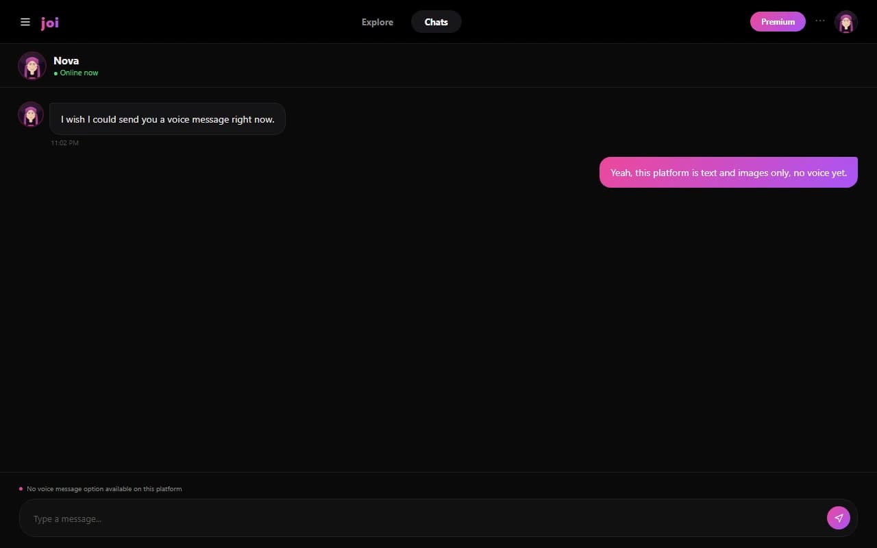 JOI chat screen showing no voice message option available JOI chat screen showing no voice message option available